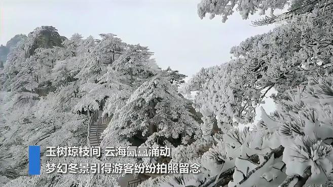 [图]黄山:梦幻冬景醉游人