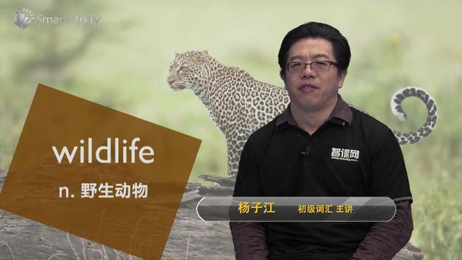 [图]wildlife-单词讲解(释义、例句)