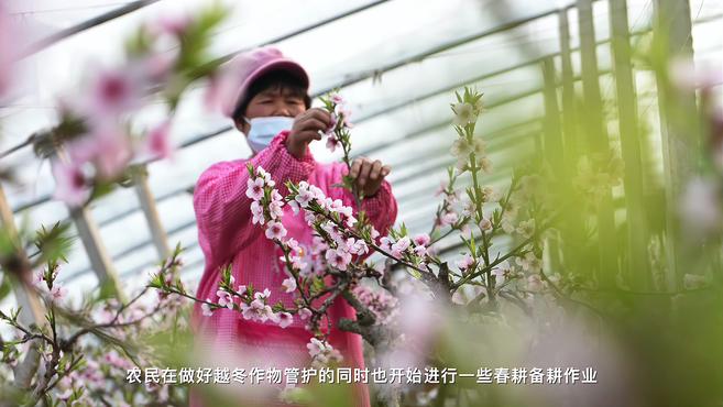 [图]四季之歌|春雨霏霏万物苏