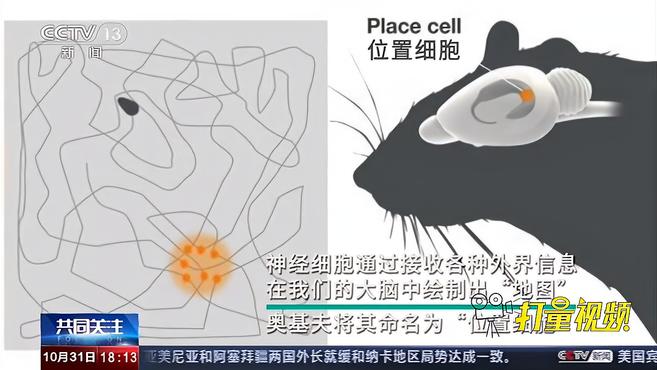 [图]诺奖得主揭秘大脑中“GPS”原理|共同关注