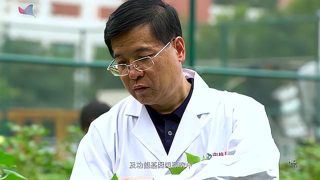 [图]衣被天下 走进棉花生物学国家重点实验室