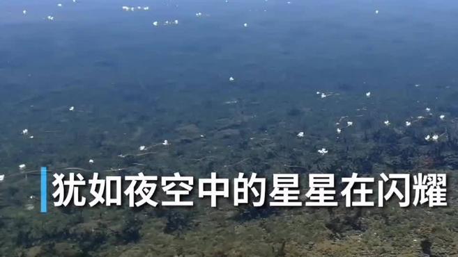 [图]30秒丨夏日泸沽湖:最爱你的“水性杨花”