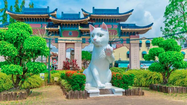 [图]世界上唯一一座“猫城”,为猫建造博物馆,还将其作为城市吉祥物