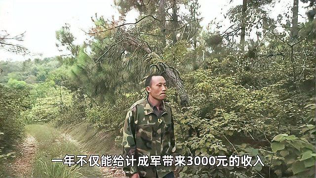 [图]走向我们的小康生活:守护绿水青山,守望致富小康