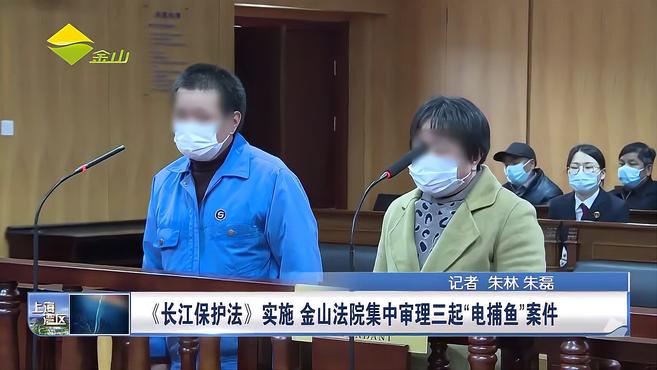 [图]《长江保护法》实施 金山法院集中审理三起“电捕鱼”案件