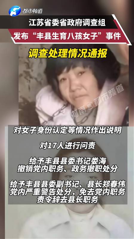 江苏省委省政府调查组发布:"丰县生育八孩女子"事件处理通报