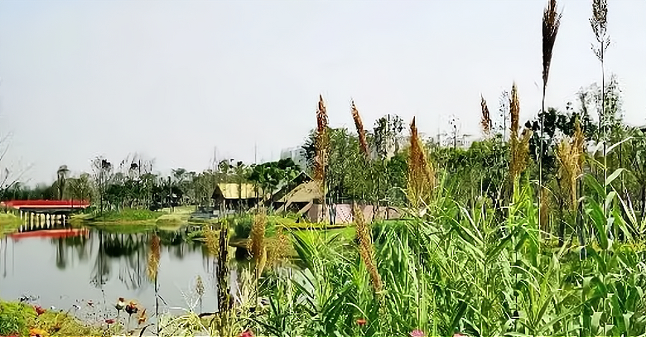 中和湿地公园位于成都市高新区中和街道南绕城高速与锦江交汇处东侧