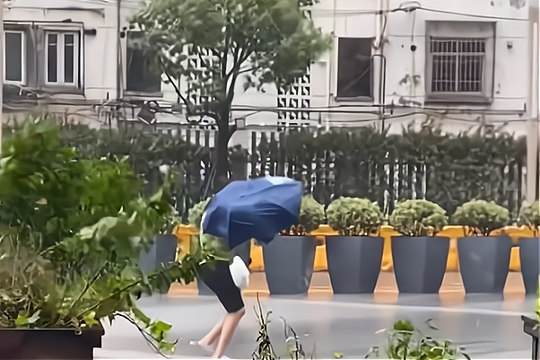 风吹跑人的图片大全集图片