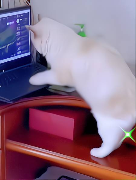 猫咪玩游戏被主人抓包,关掉游戏迅速开溜,是不是像极了你小时候-度小