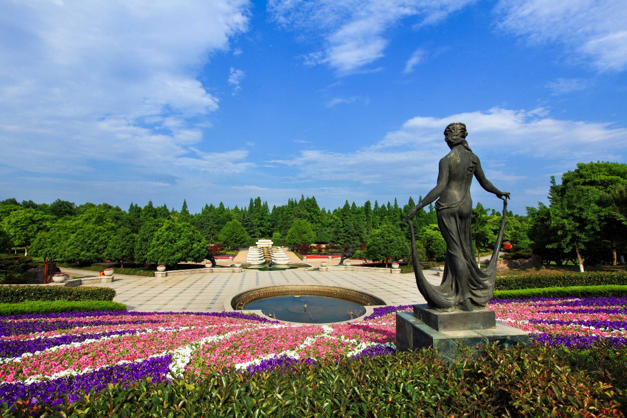 杭州花圃最佳观赏图片