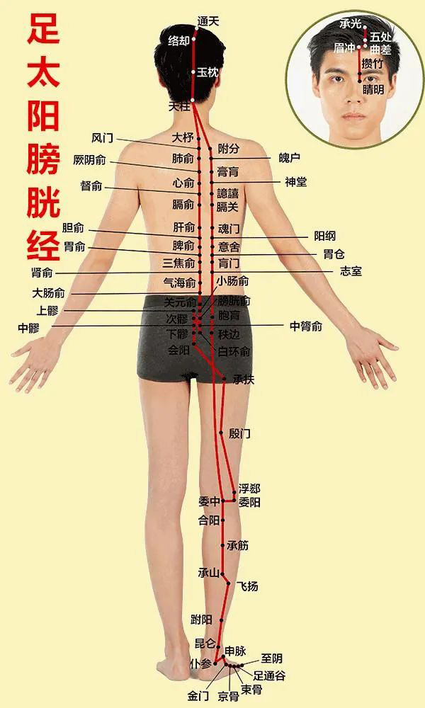 专家分享,什么时间做《人体解锁》最合适?国医名师董占良这样说