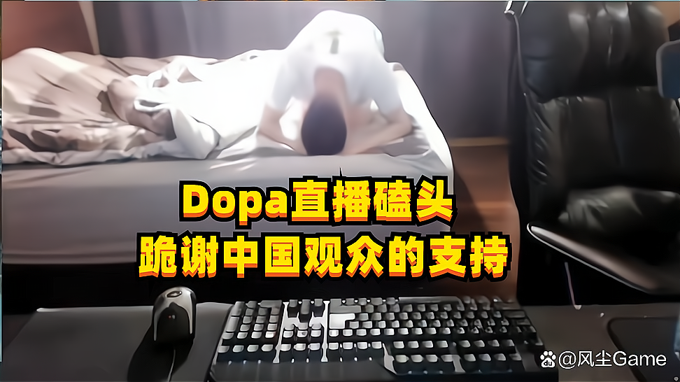 dopa翻译图片