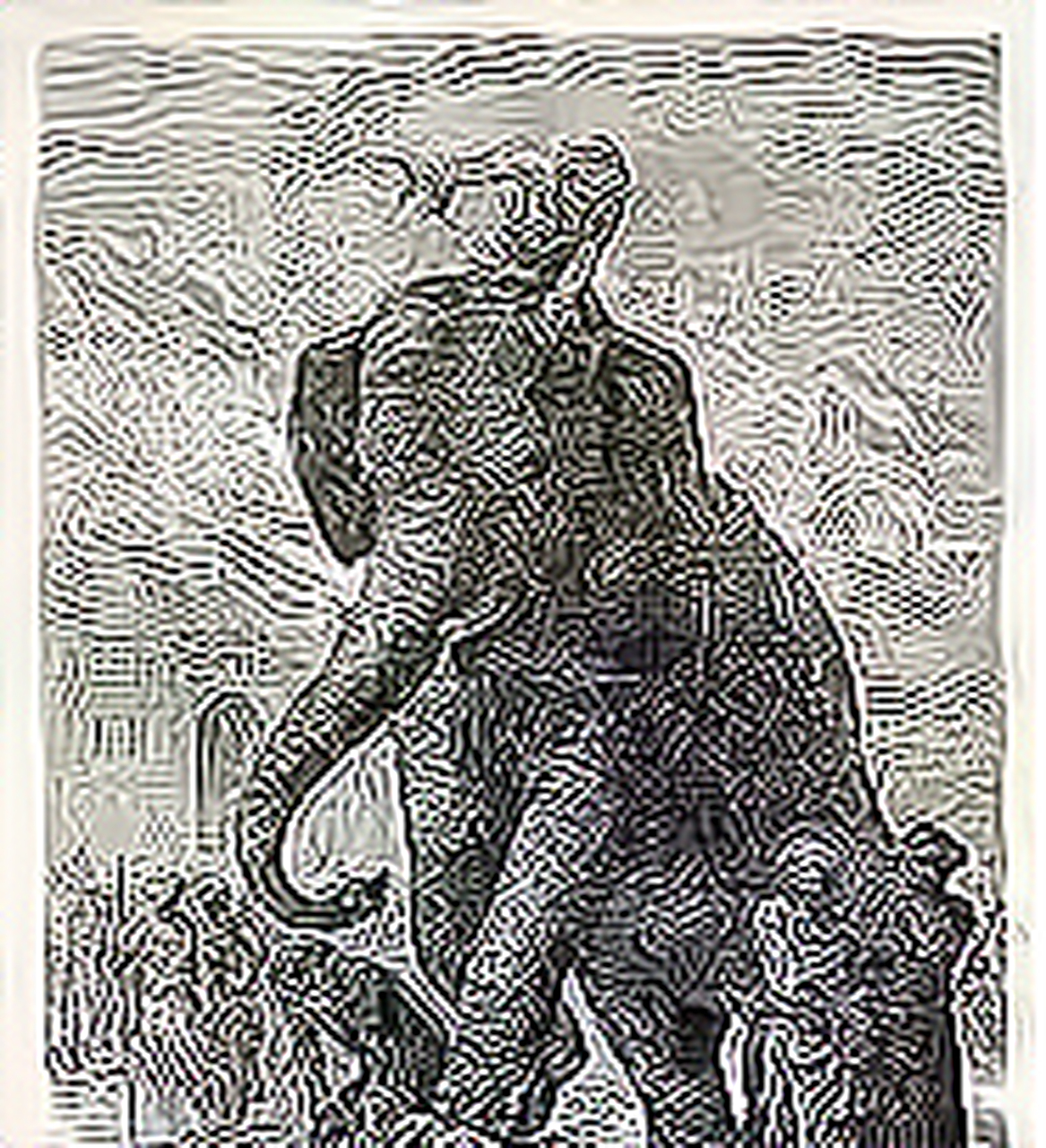 东南亚酷刑之"象刑",比中国的五马分尸有过之而无不及!