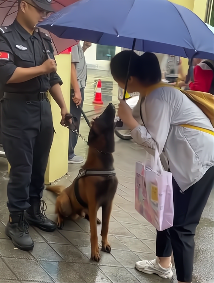 警犬巴万最喜欢被人撸,不是人拉着,就跟着别走了-度小视