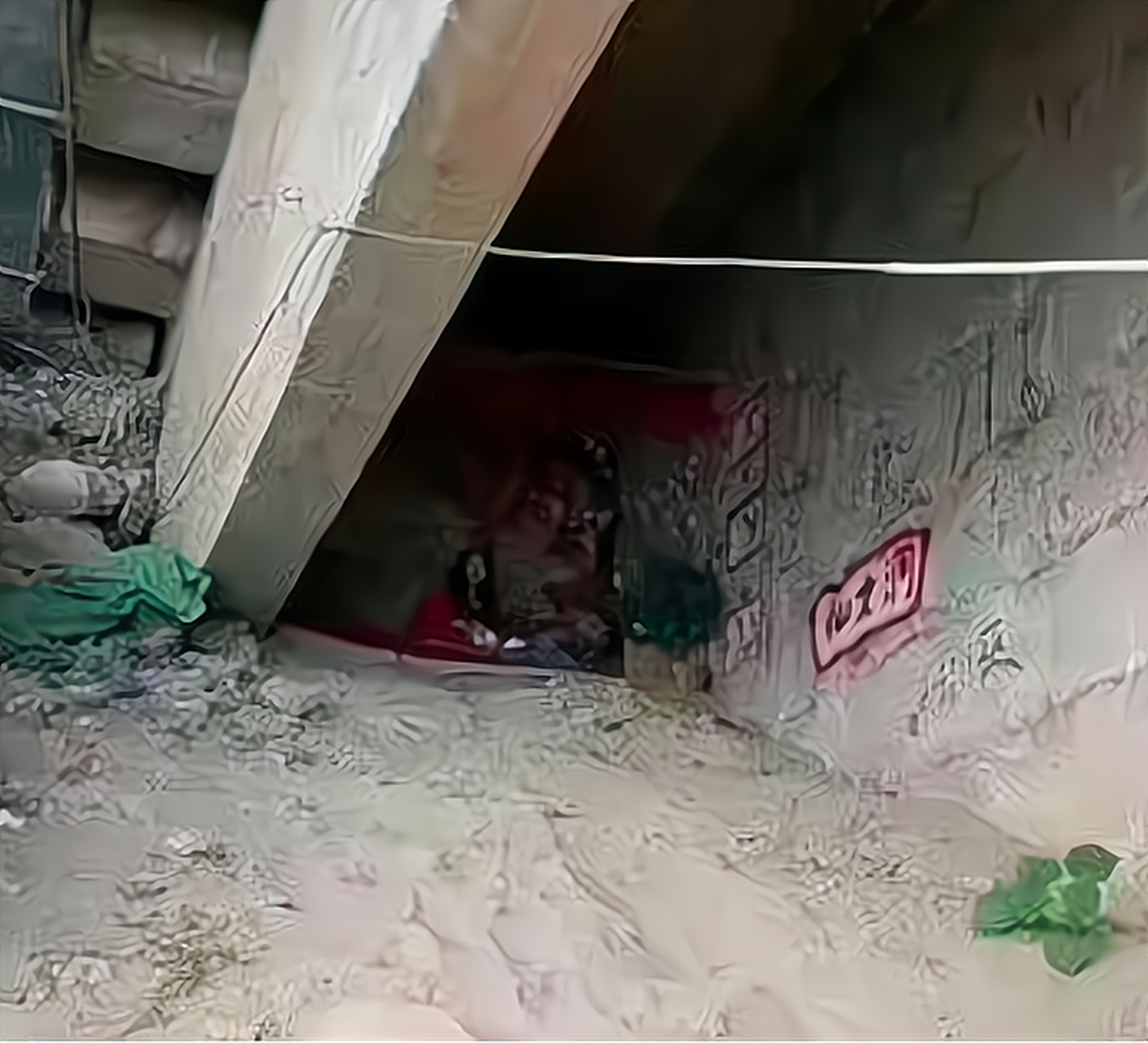 原来高手都住在桥洞下面啊