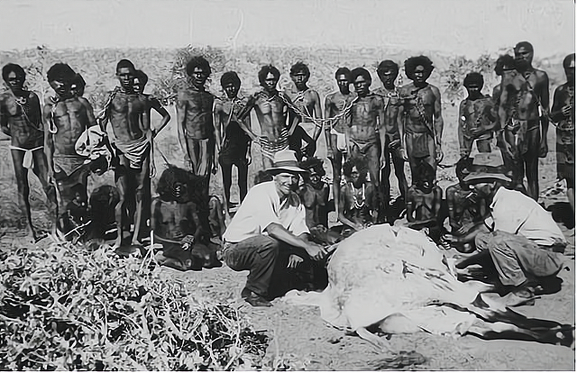 1883年,英国殖民者与被他奴役的澳洲土著,画面中的英国人一脸傲娇的