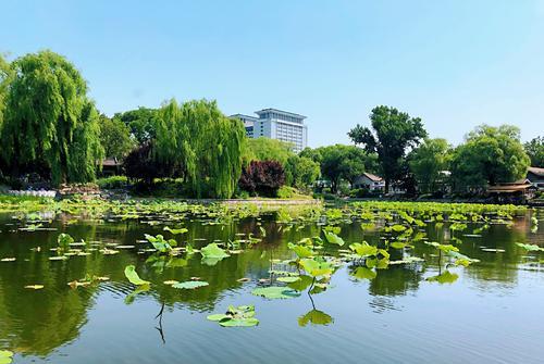 北京冷门公园,风景美丽环境良好,虽是4a却不为人知