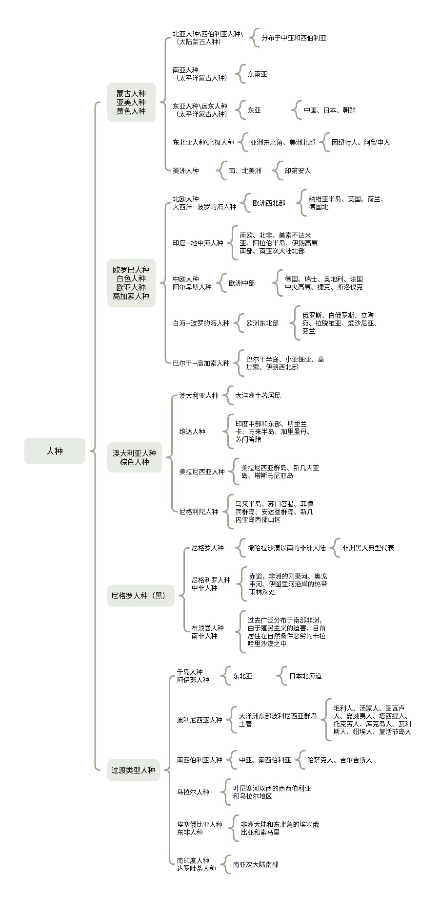 人类进化的最后阶段