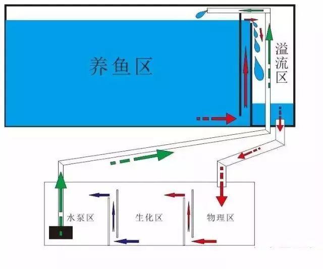 鱼缸底滤原理,多种设计形式及功能