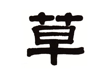 草:汉字的起源与演变(小学一年级语文生字 第61集)
