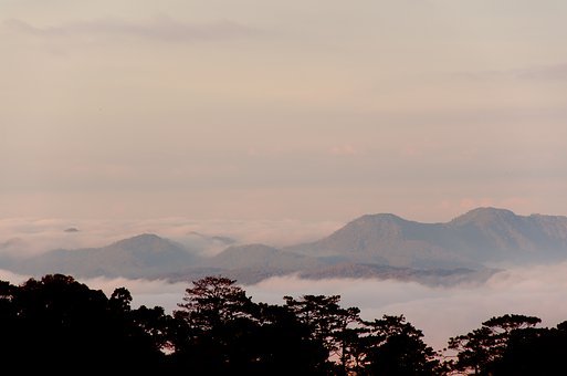 8月,花枝招展,百花争艳,春树暮云,依草附木,如火如荼