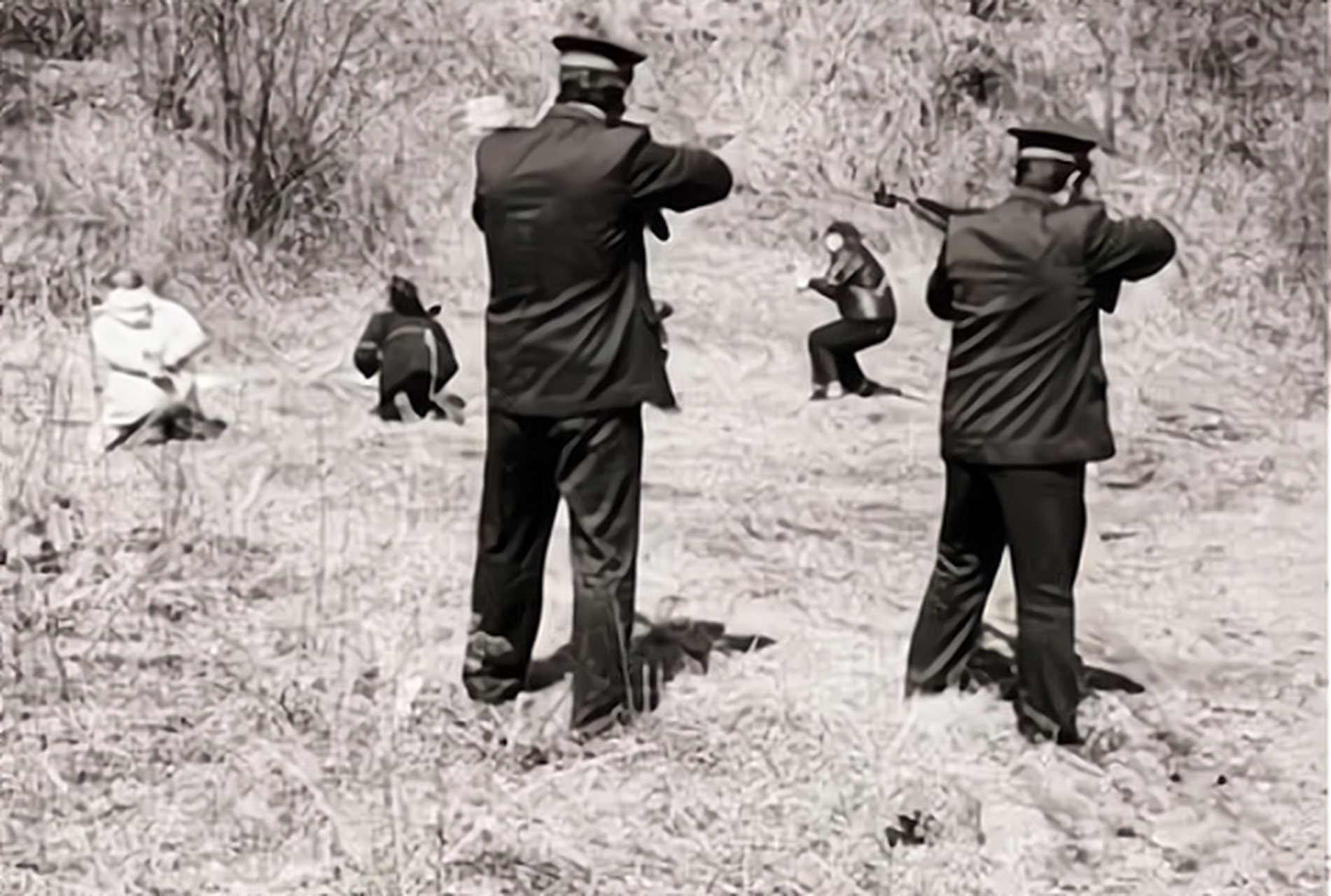 老照片:80年代枪毙死刑犯,犯人跪在地上,慈禧年轻时很漂亮