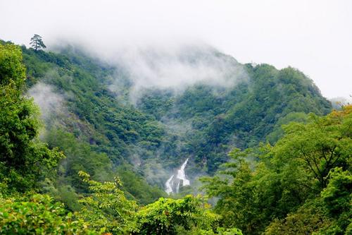 泰和县老虎山湿地公园图片