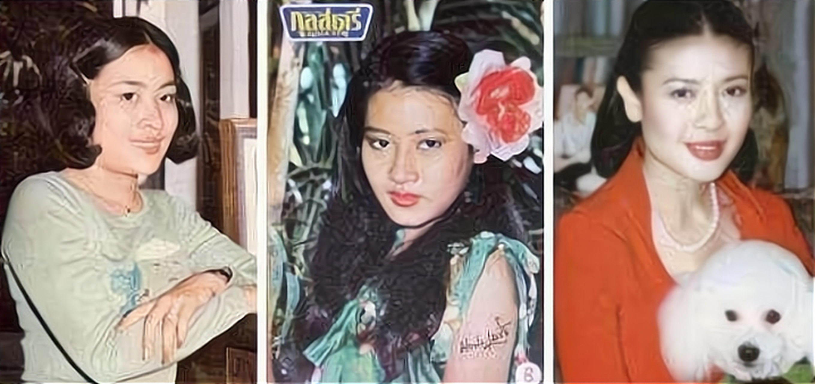 娶过四妻一妾的哇集拉隆功,除了现任王后素提达,其他四人的结局都相继