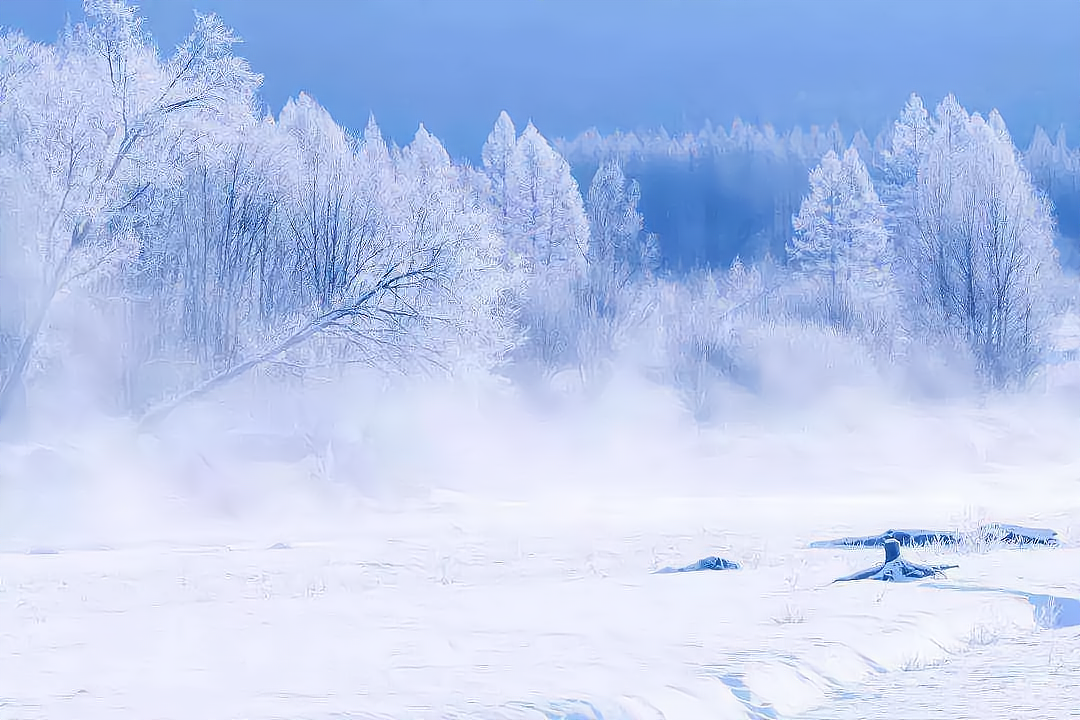 《和子由澠池懷舊》:雪泥鴻爪的人生,放下過去,一起看向未來