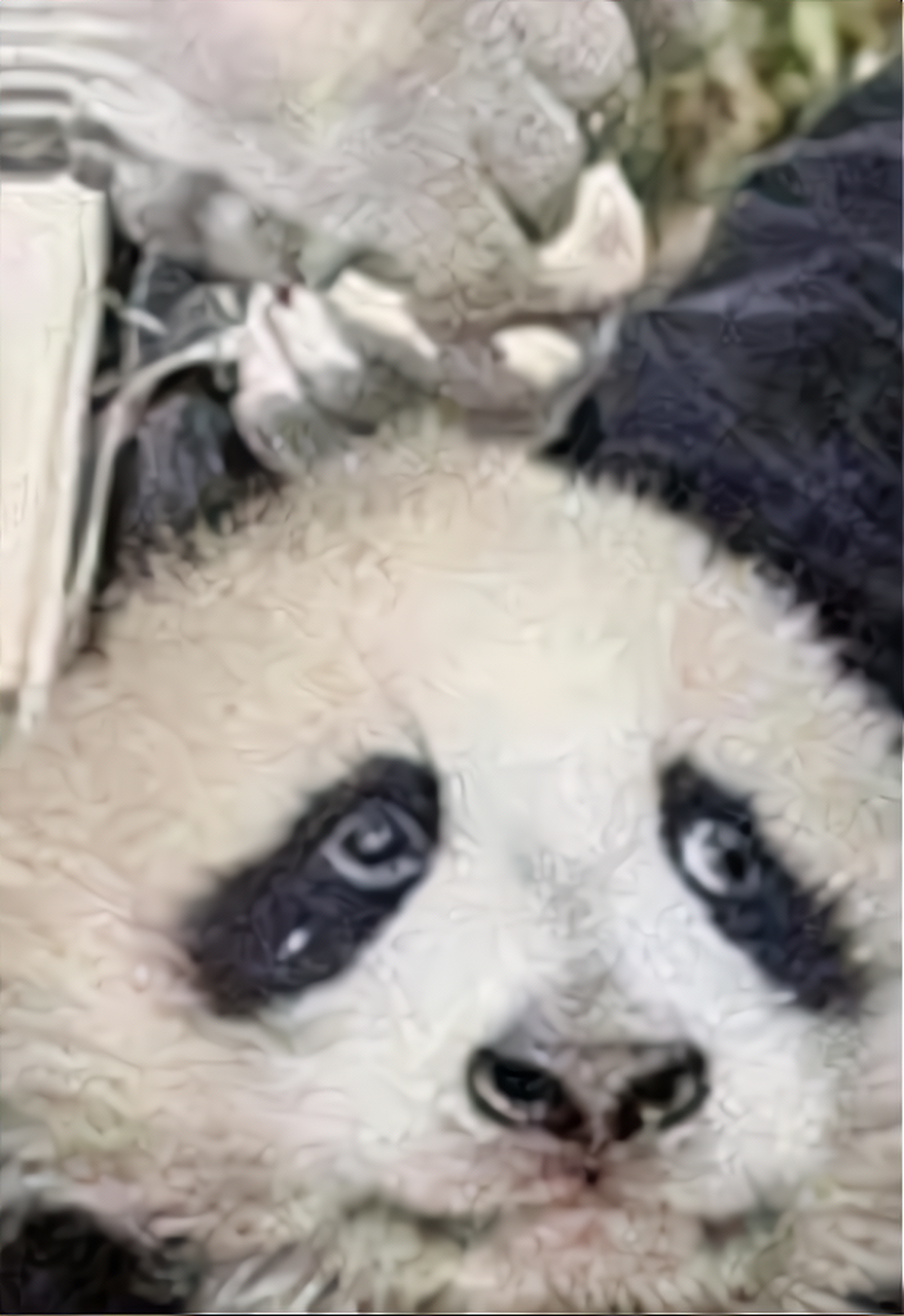 熊猫:你们两个老六