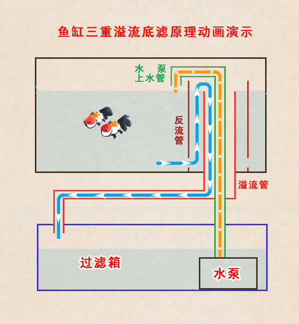 鱼缸底滤原理,多种设计形式及功能