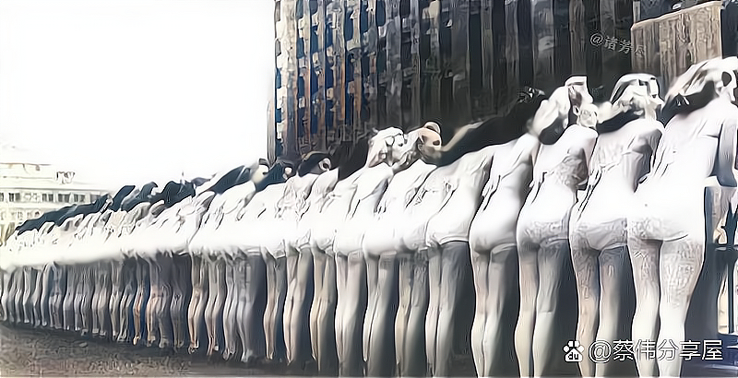 上世纪30年代,这是一场主题为"美臀,美腿"的选美比赛中,数十名美女背