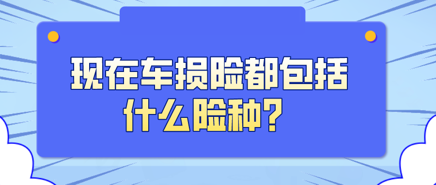 現在的車損險都包括什麼險種?