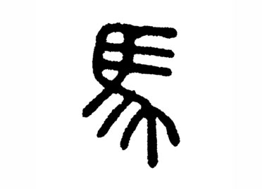 马:汉字的起源与演变(小学一年级语文生字 第37集)