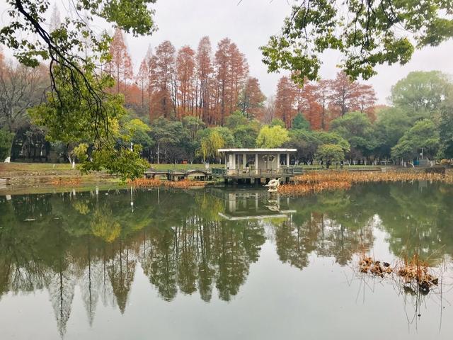 华中科技大学的疫情防控真神奇,封学生不封学校,真是匪夷所思