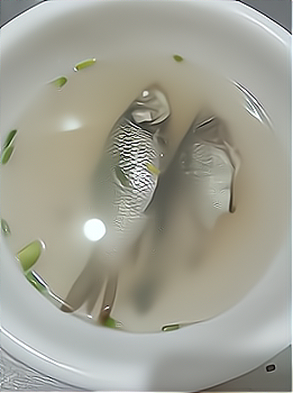 第一次炖小鱼汤,看着还不错哦.