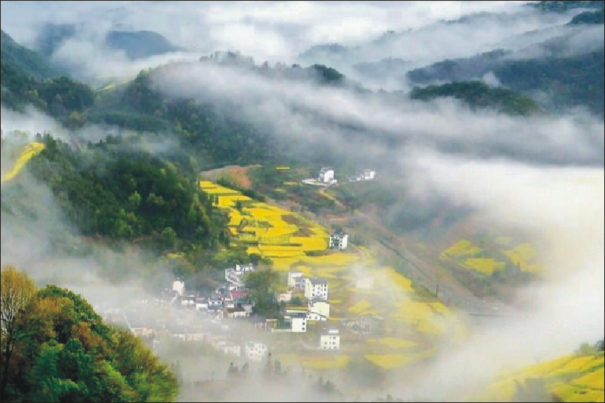 鸿飞村图片