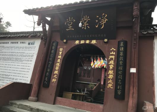 金介屎图片