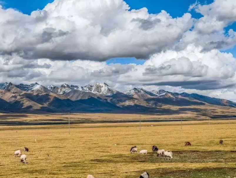 最美無人區草原那曲高寒草原,彰顯自然地壯麗之美,一定要去看看