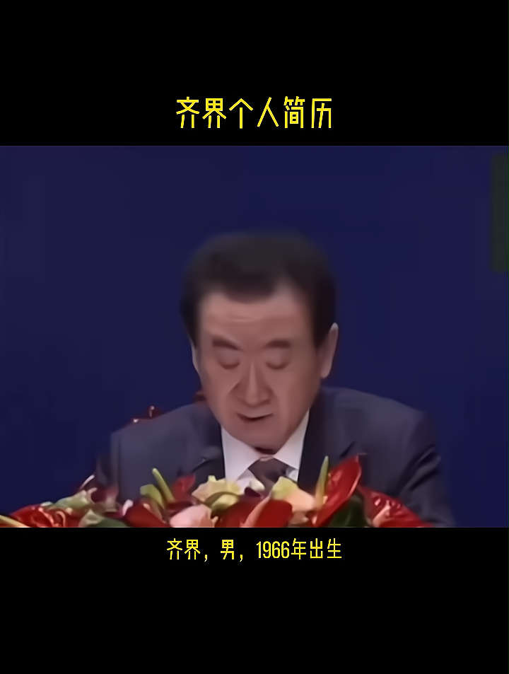 齐界的个人简历!