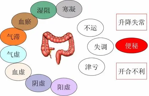 老人经常便秘,可能与这3个原因有关,找对病因方能轻松通便