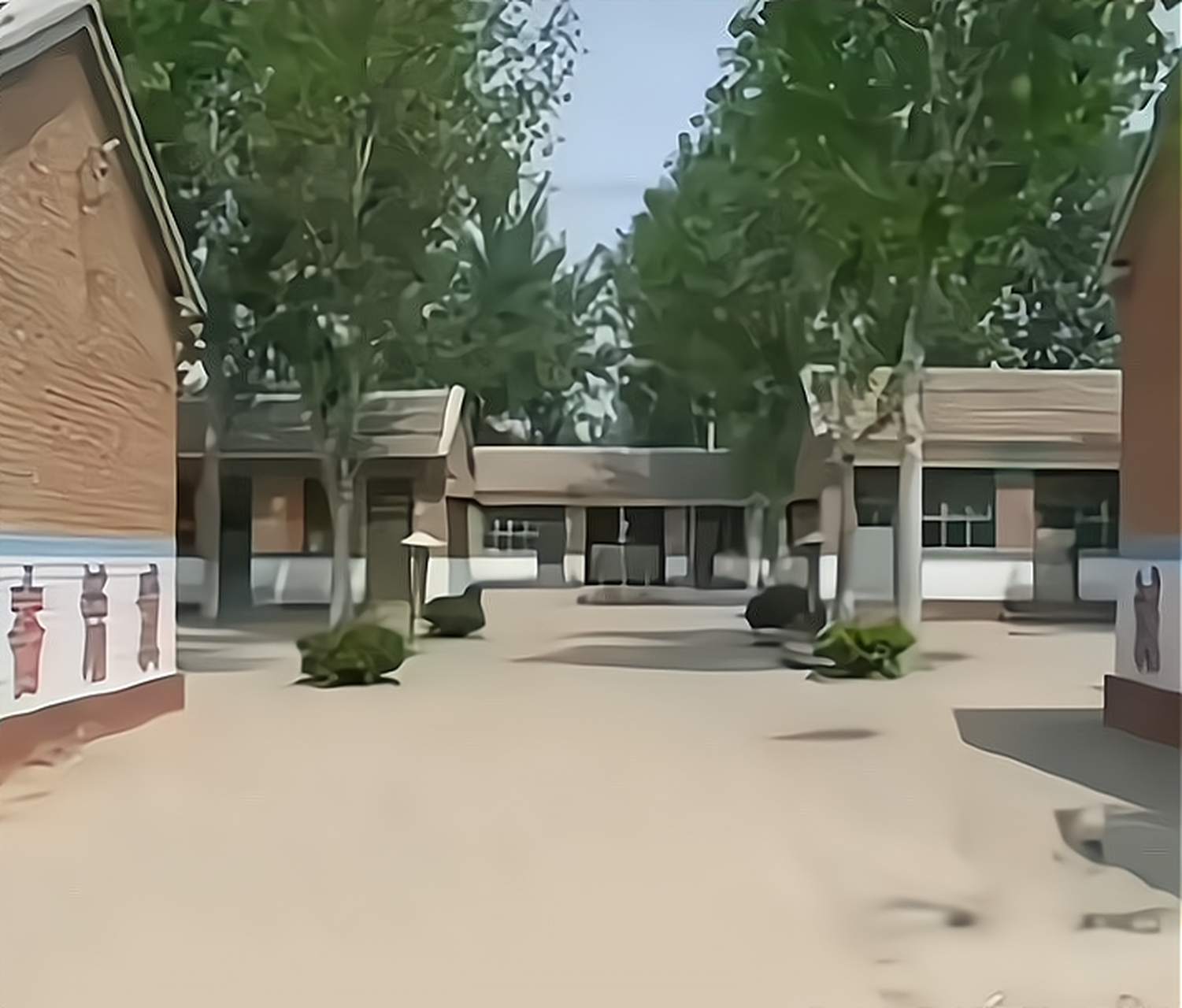 80年代的小学学校,这是怎么做到全国统一的?