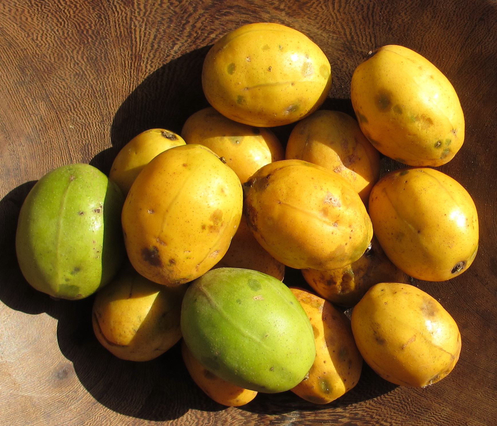 藤黄果,猴果……近20种你不知道的非洲雄鹰喀麦隆水果