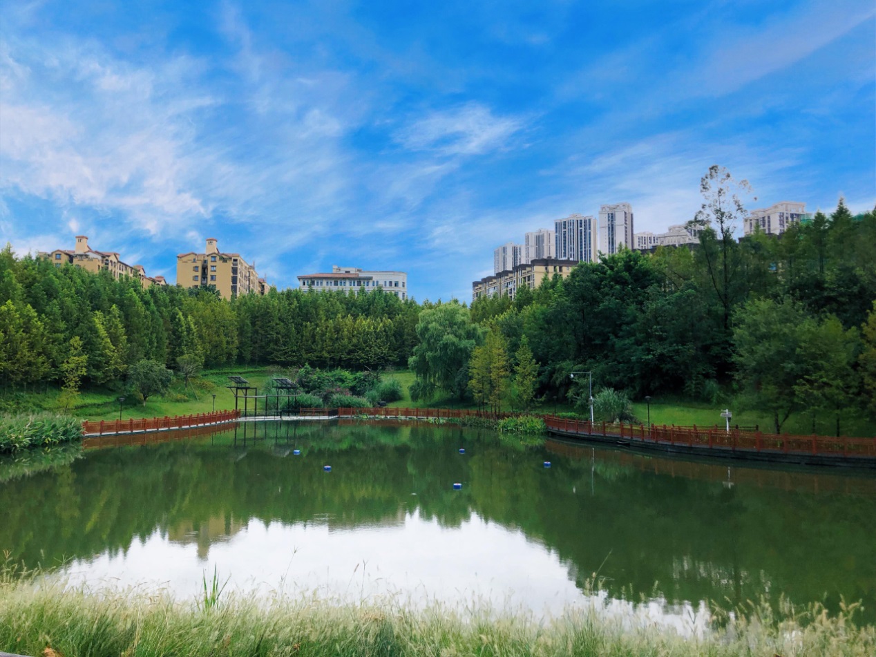 两江新区悦来会展公园:升级改造打造水下森林