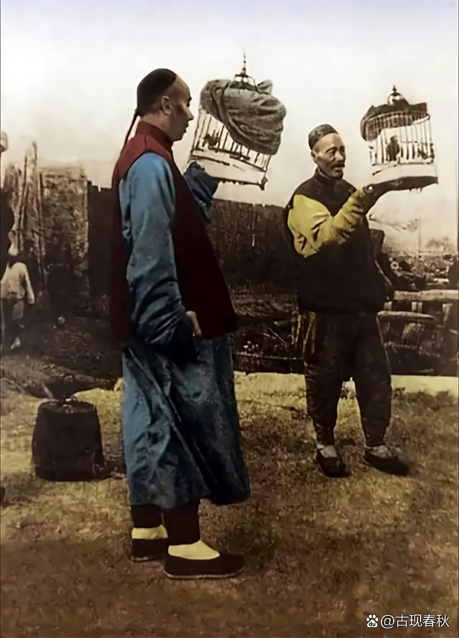 当年京城遛鸟的纨绔子弟,他们的工作就是玩