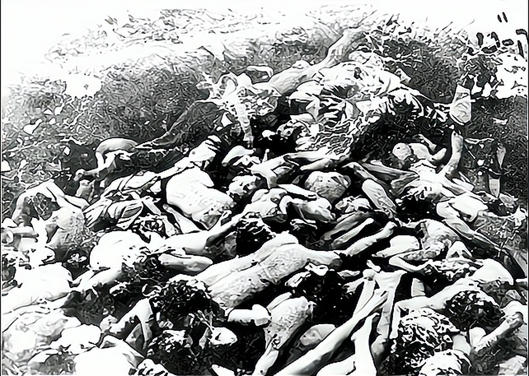 最近,波兰外长提到了二战中volyn大屠杀的事情,希望乌