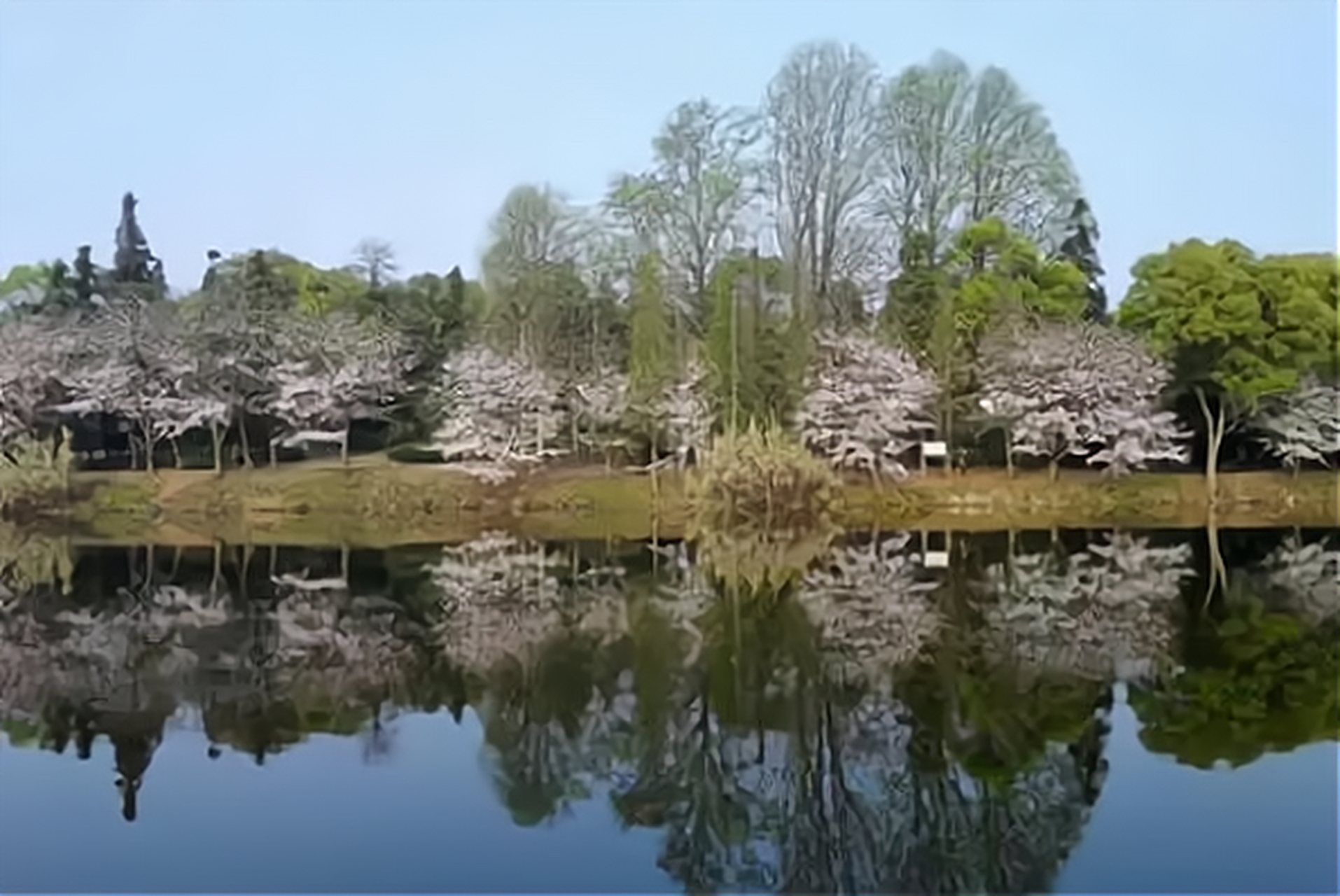 江西省林科院,这里可以说是非常小众的赏花点了,非常适合想避开人群拍
