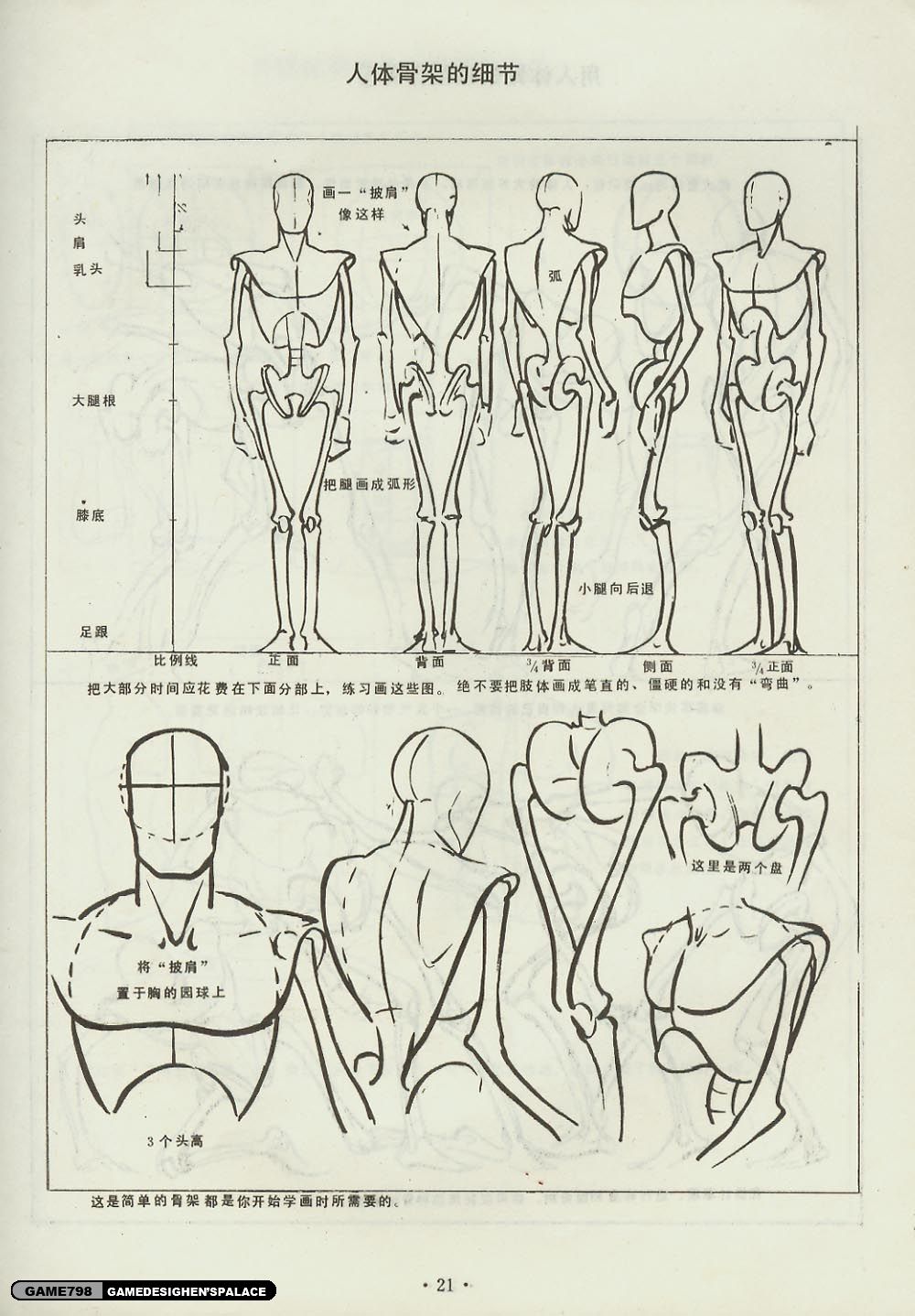 人体结构素描教程图片