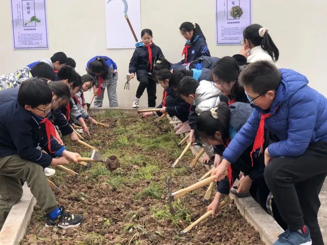 两江新区万年路小学被评为"重庆市首批中医药文化进校园示范校"