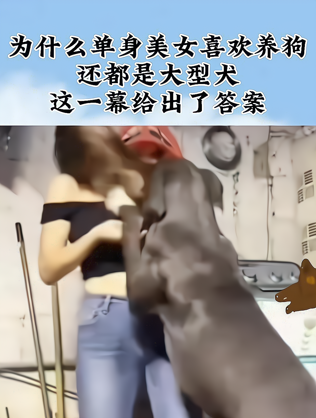 為什麼單身美女喜歡養狗,還都是大型犬,這一幕給出了答案